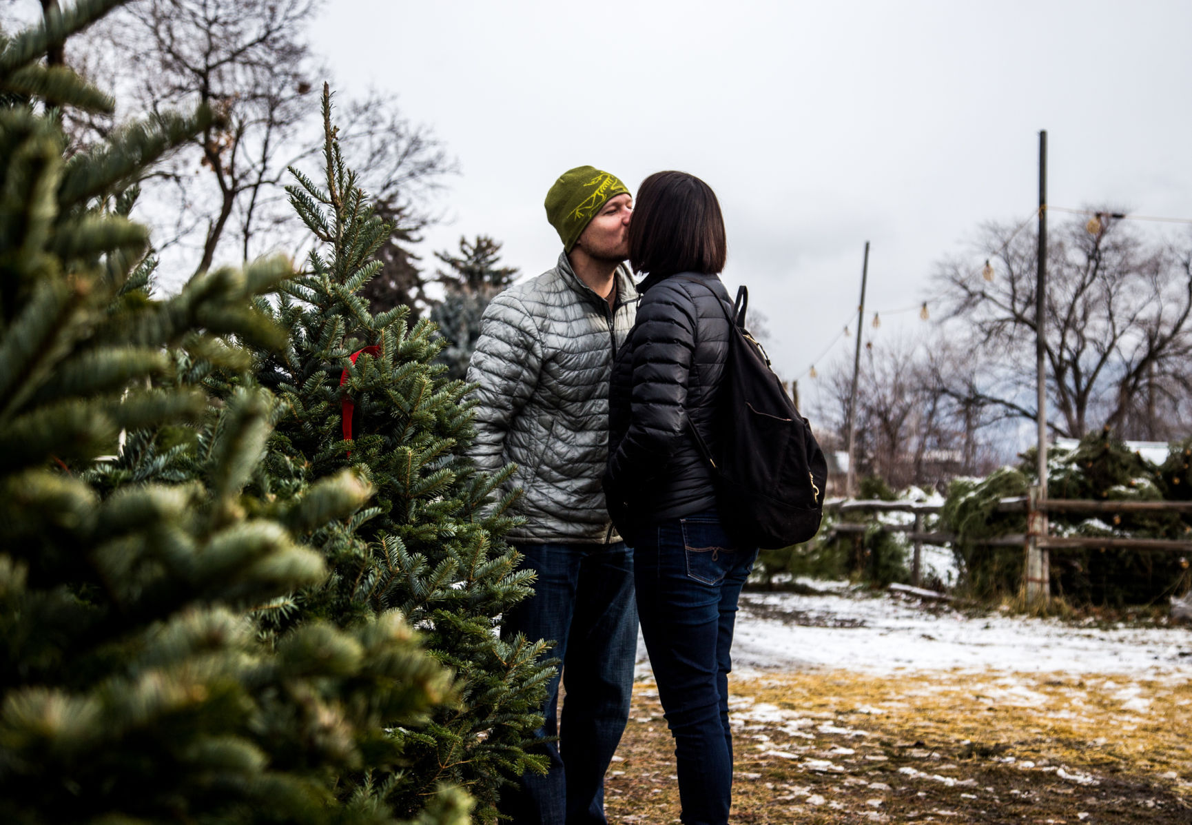 120417 xmas tree hunting1 rw.jpg